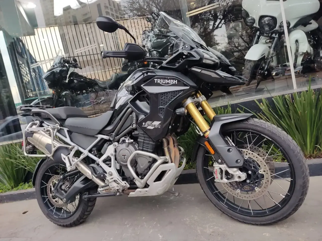 galeria Tiger 1200