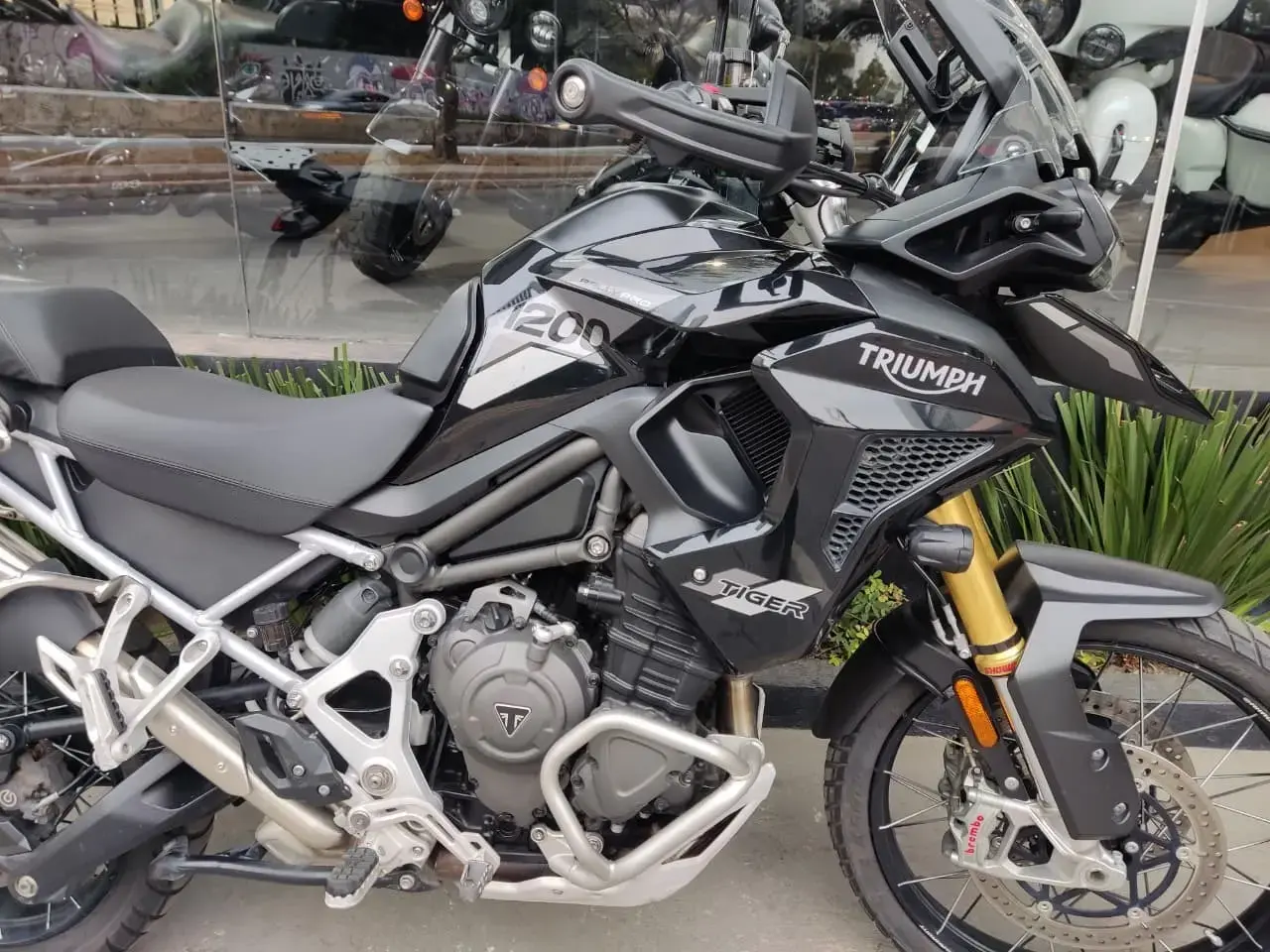 galeria Tiger 1200