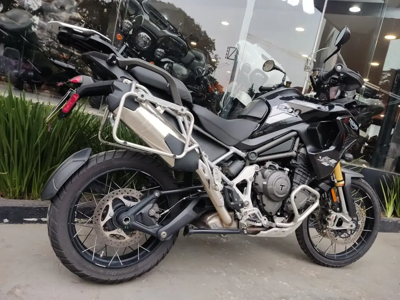 galeria Tiger 1200