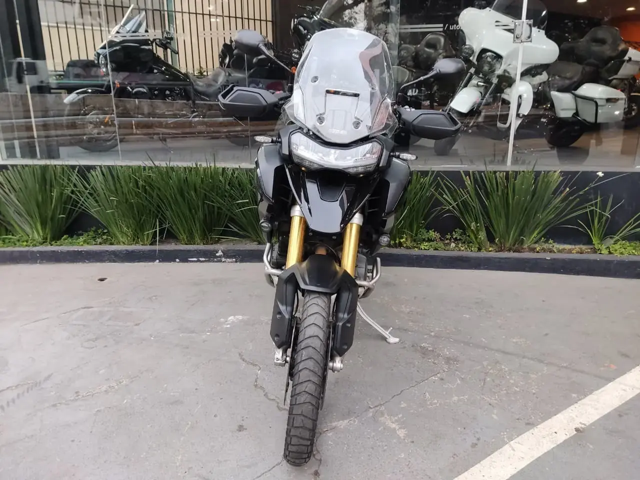 galeria Tiger 1200