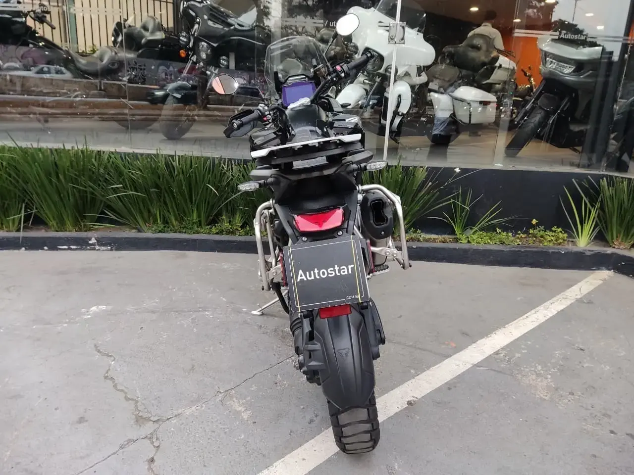 galeria Tiger 1200