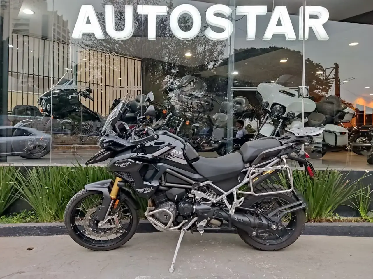 galeria Tiger 1200