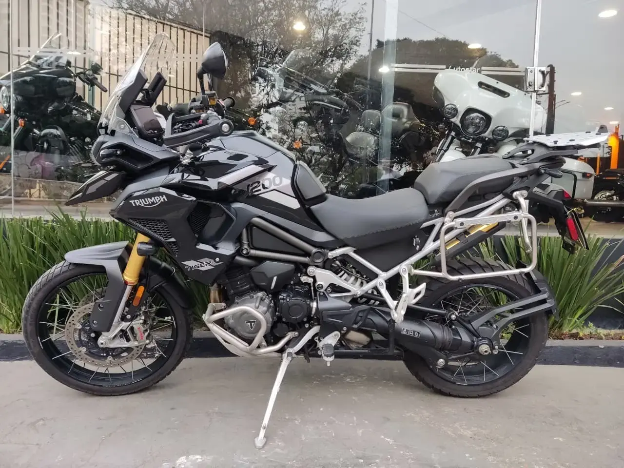 galeria Tiger 1200