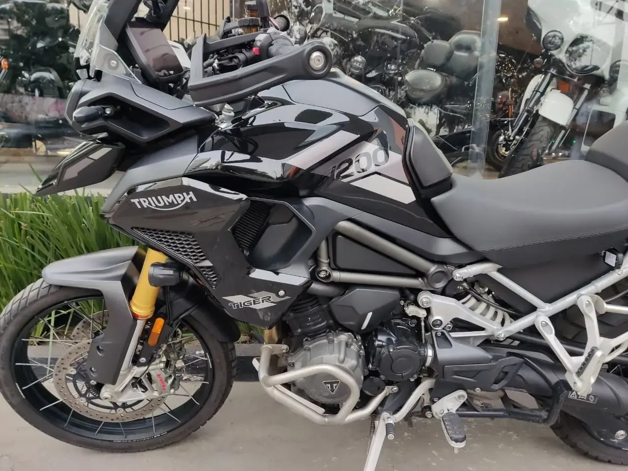 galeria Tiger 1200