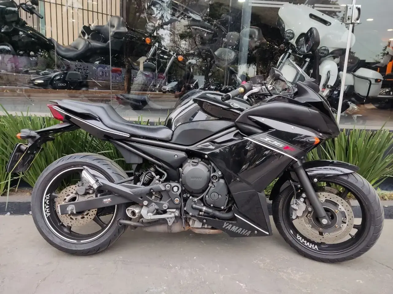galeria Xj6 F