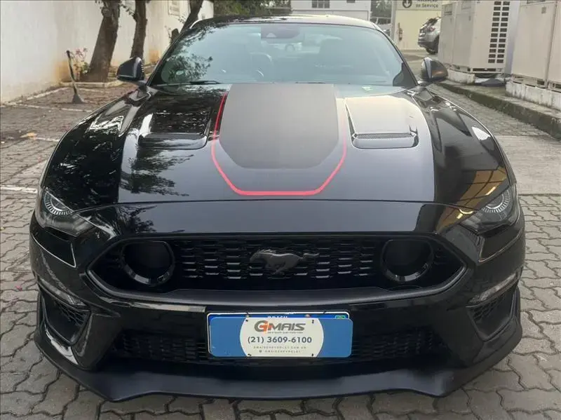 galeria MUSTANG