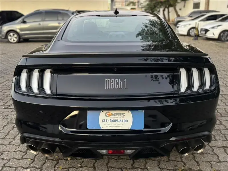 galeria MUSTANG
