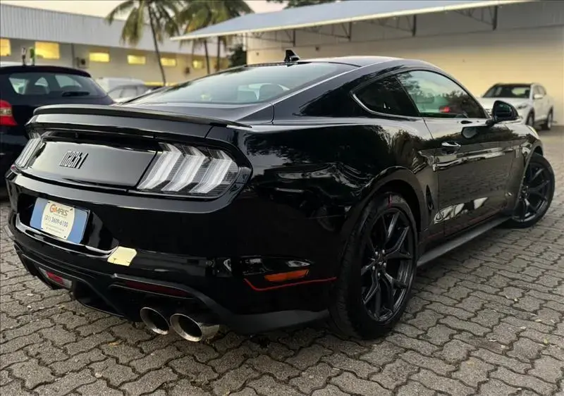 galeria MUSTANG