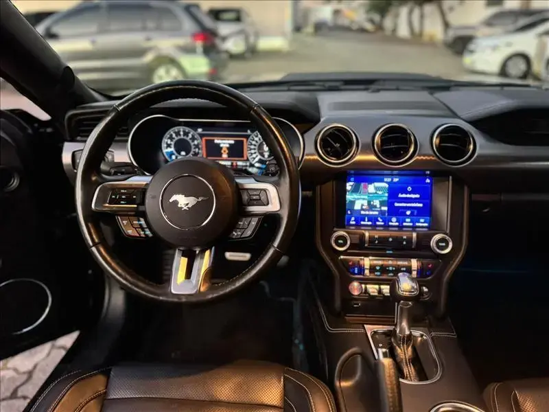 galeria MUSTANG