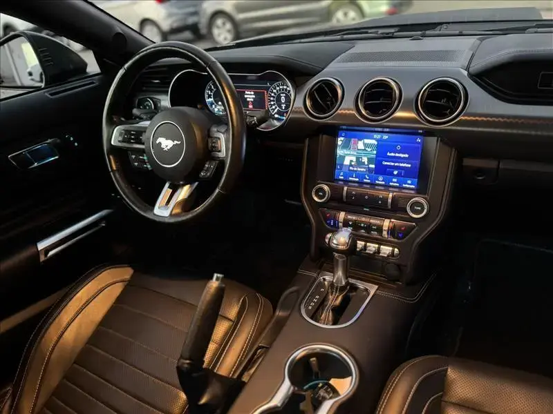 galeria MUSTANG