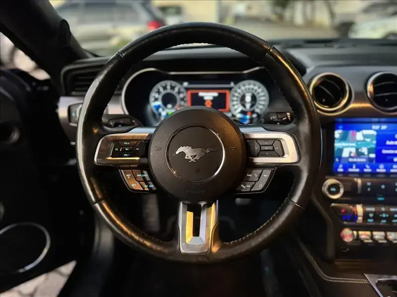galeria MUSTANG