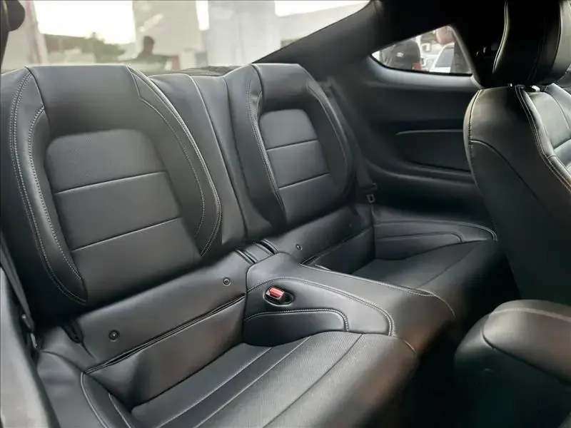 galeria MUSTANG