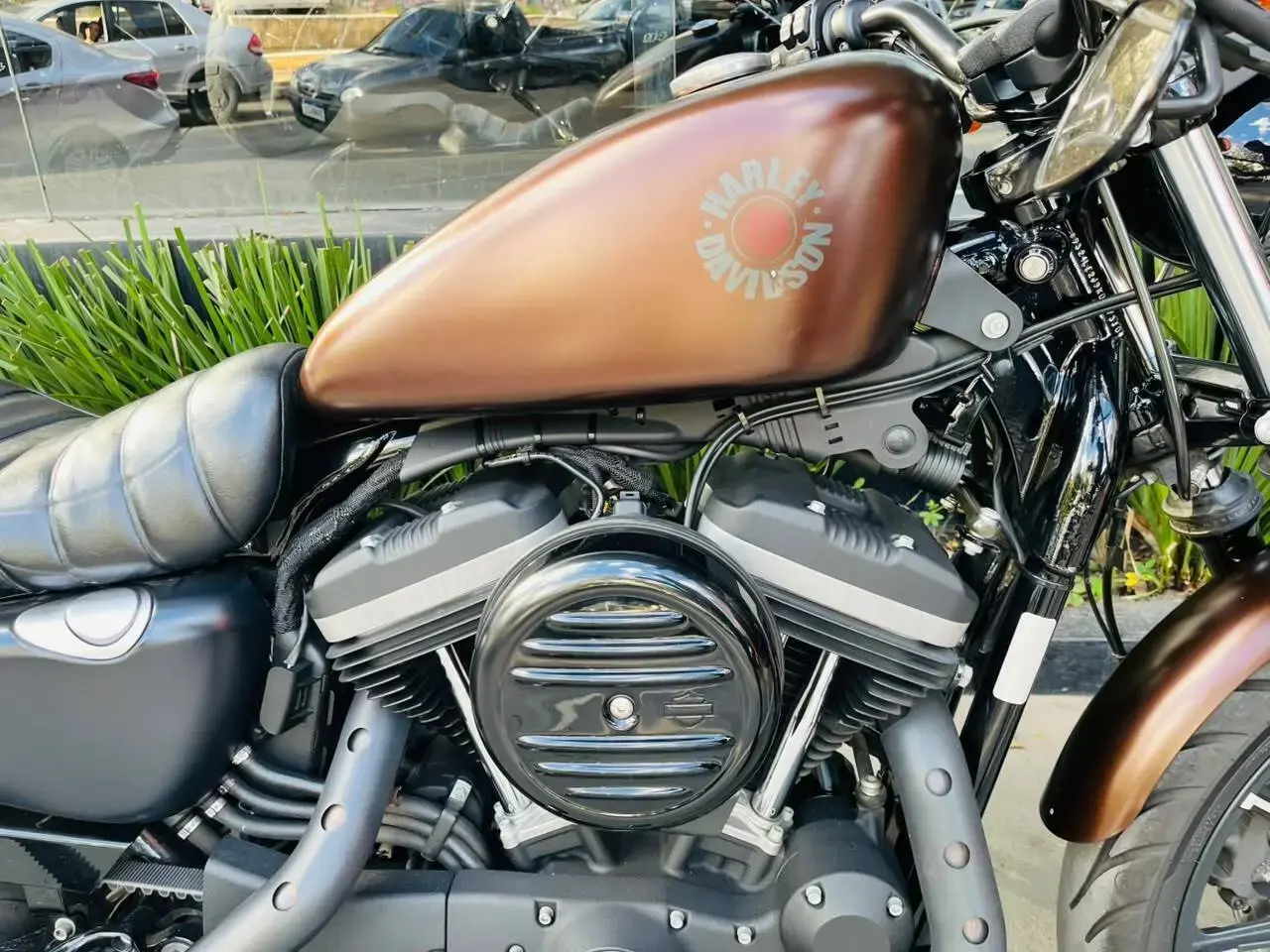 galeria Xl 883