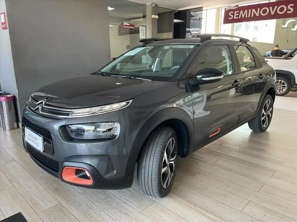 galeria C4 CACTUS