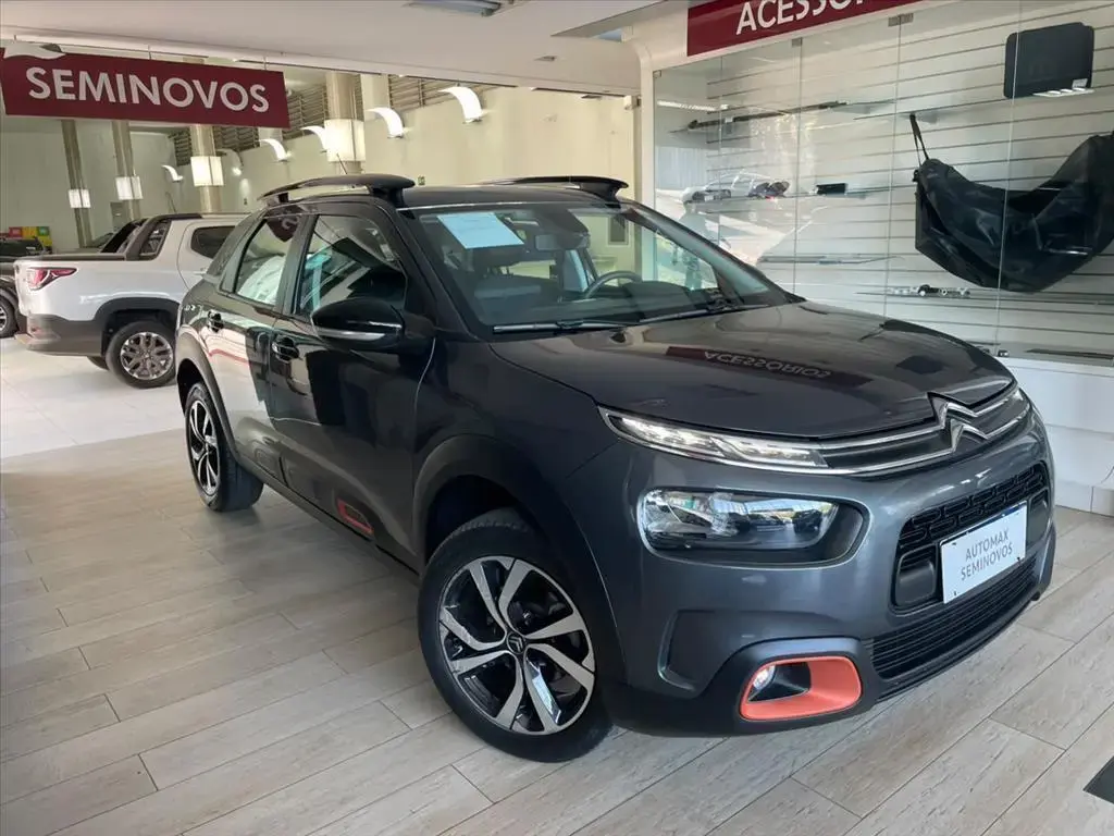 galeria C4 CACTUS