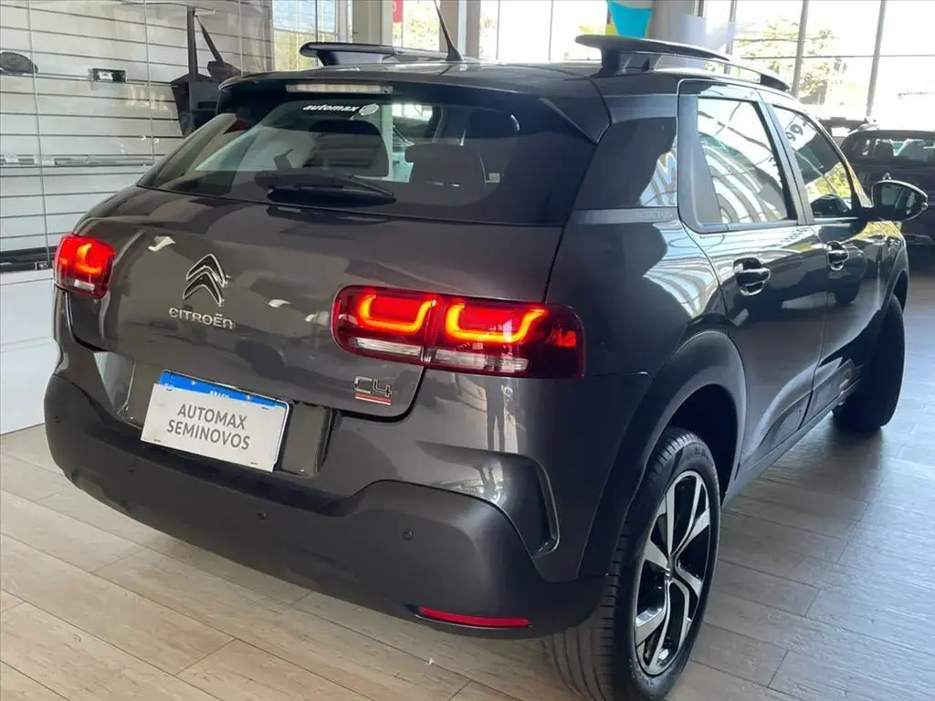galeria C4 CACTUS