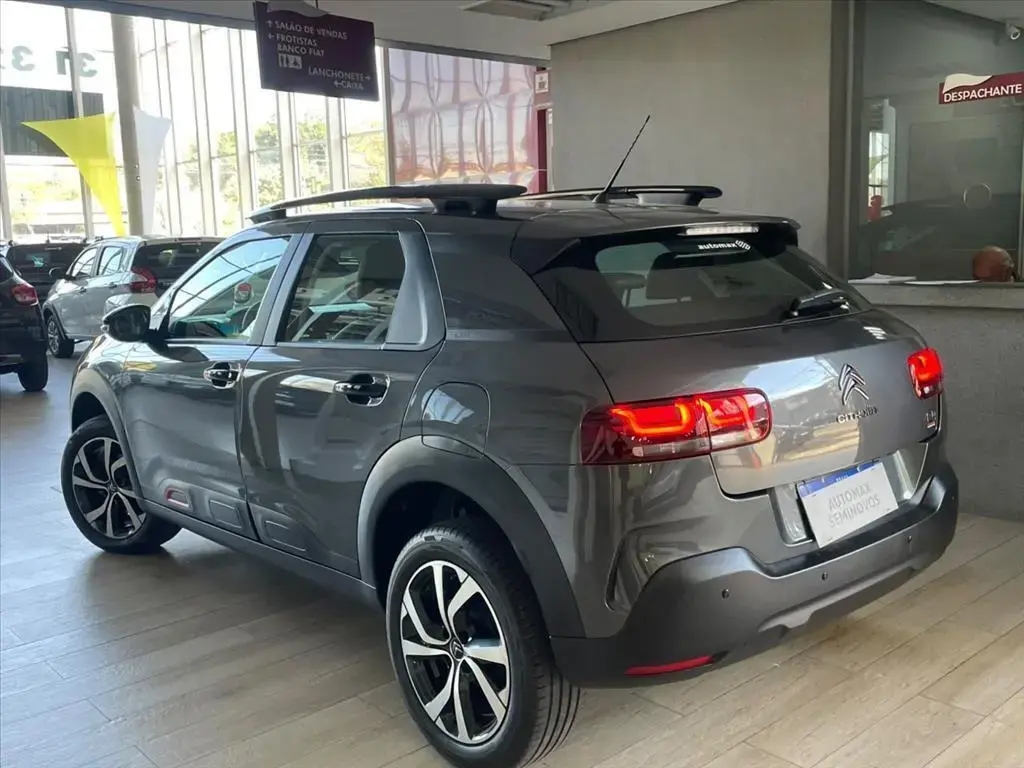 galeria C4 CACTUS
