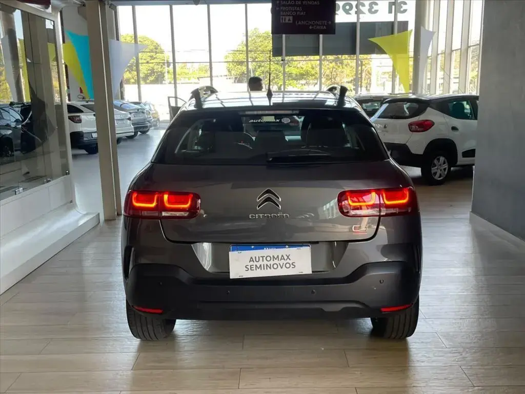 galeria C4 CACTUS