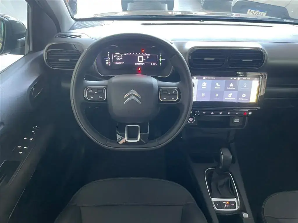 galeria C4 CACTUS
