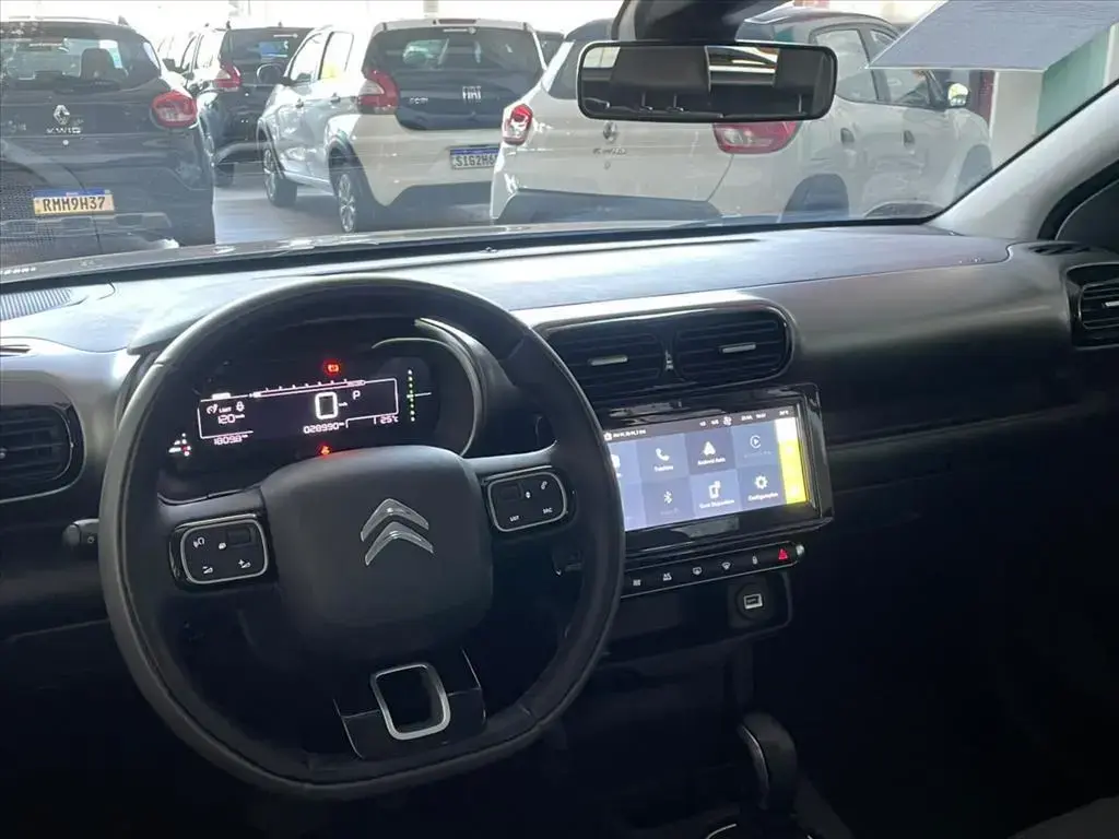 galeria C4 CACTUS
