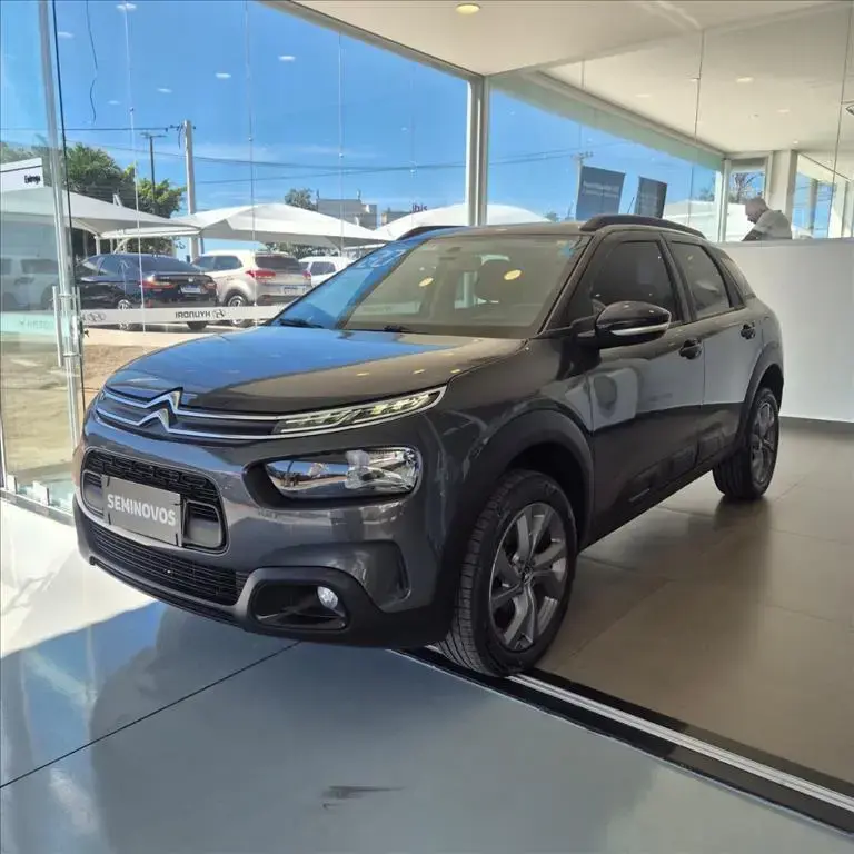 galeria C4 CACTUS
