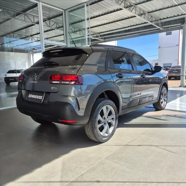 galeria C4 CACTUS