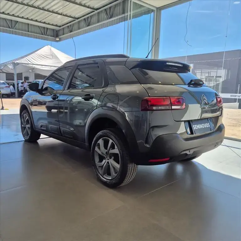 galeria C4 CACTUS