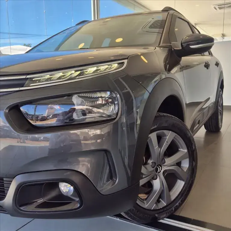 galeria C4 CACTUS