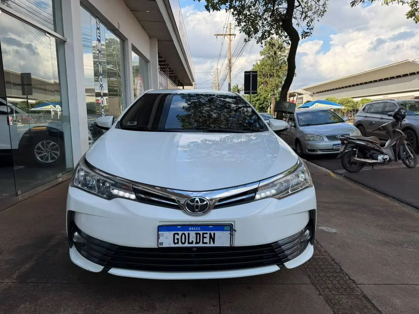 galeria COROLLA