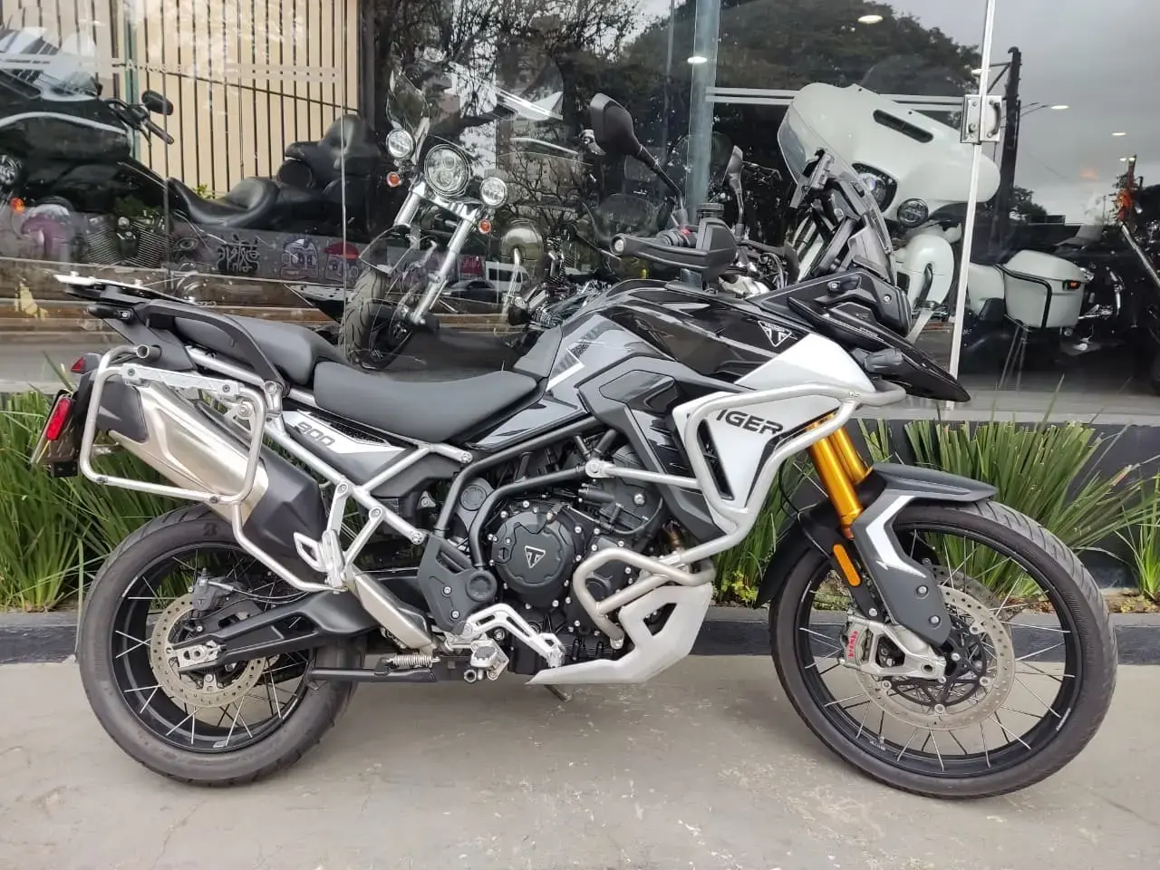 galeria Tiger 900