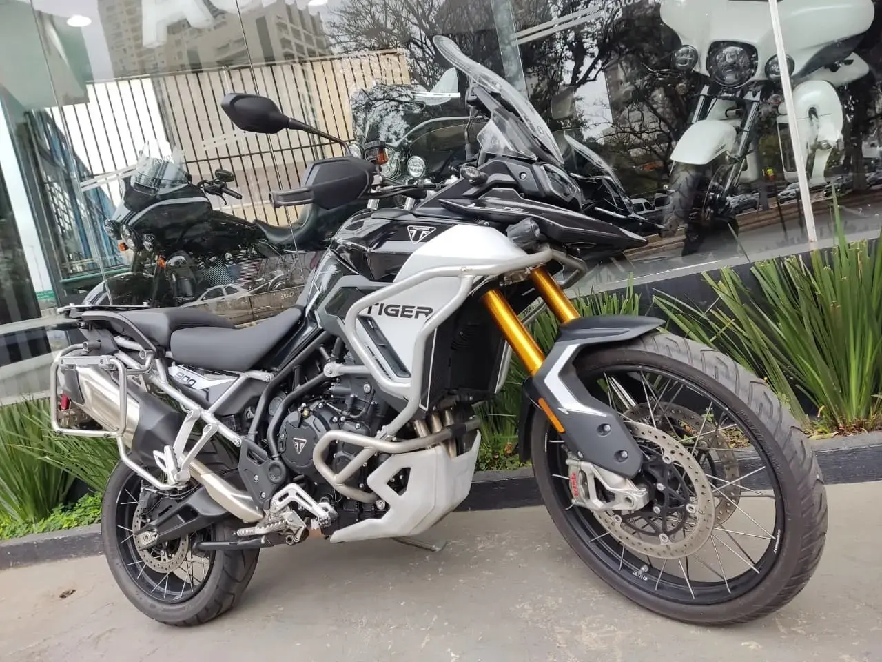 galeria Tiger 900