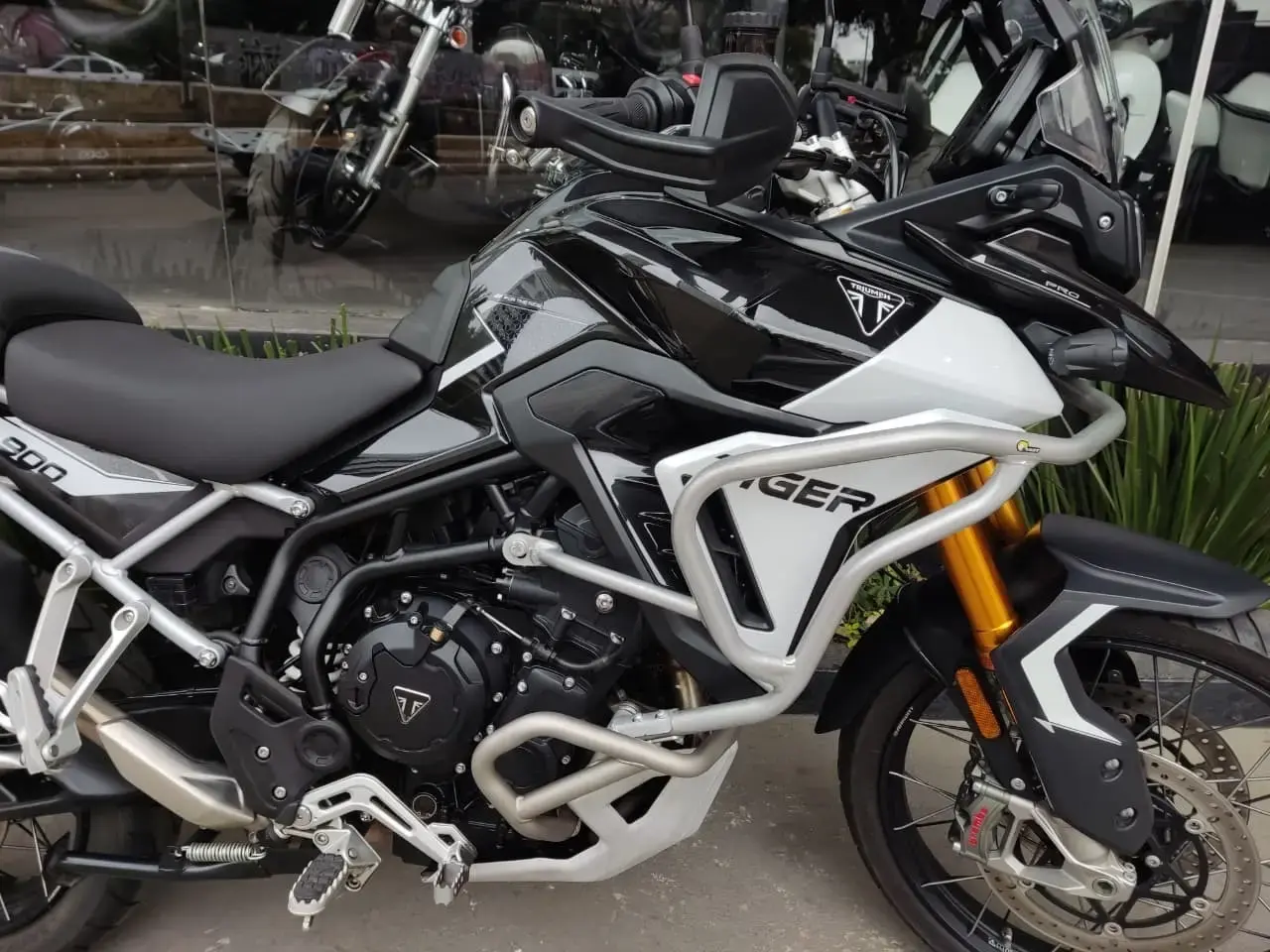 galeria Tiger 900