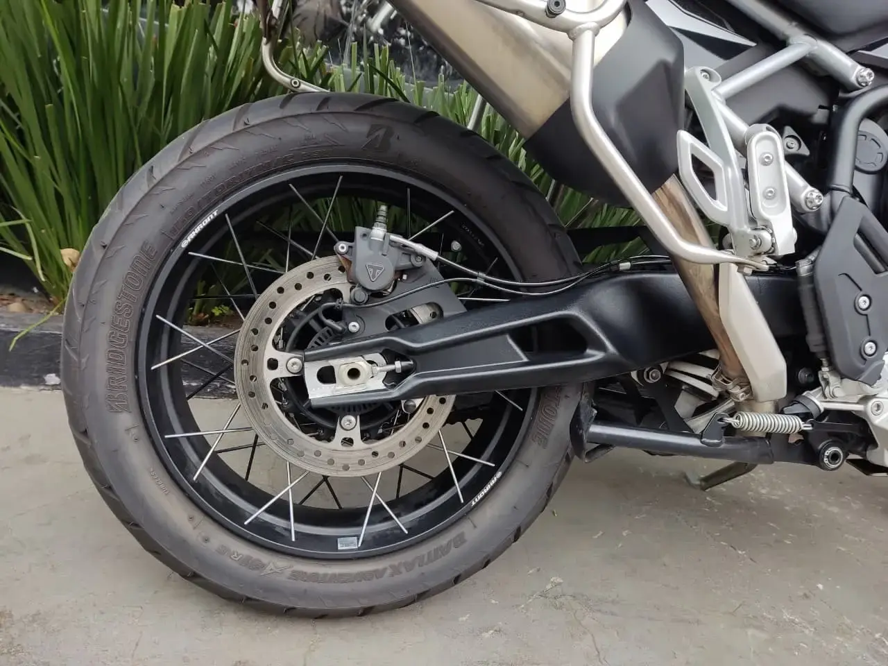 galeria Tiger 900