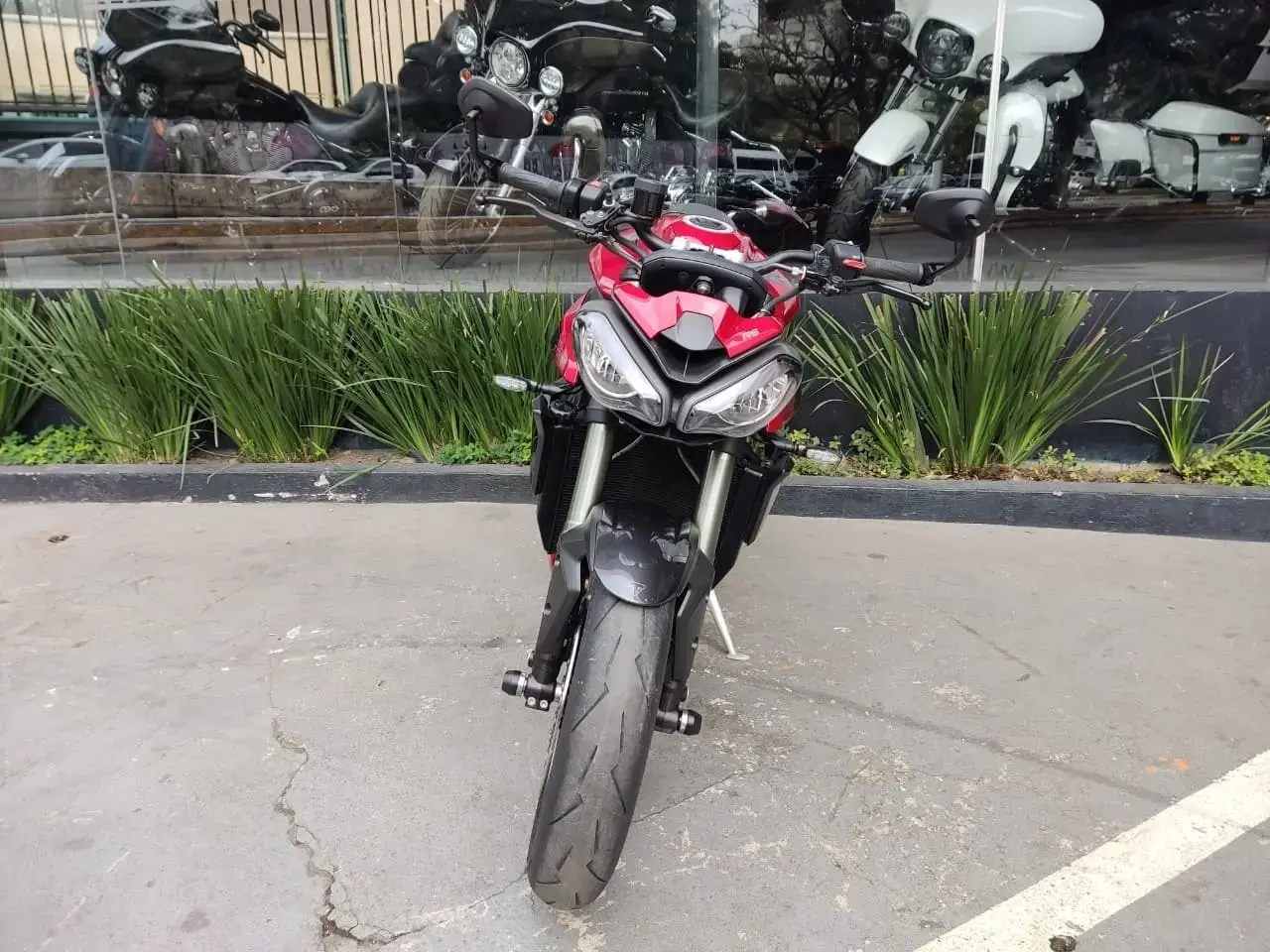 galeria Street Triple 765