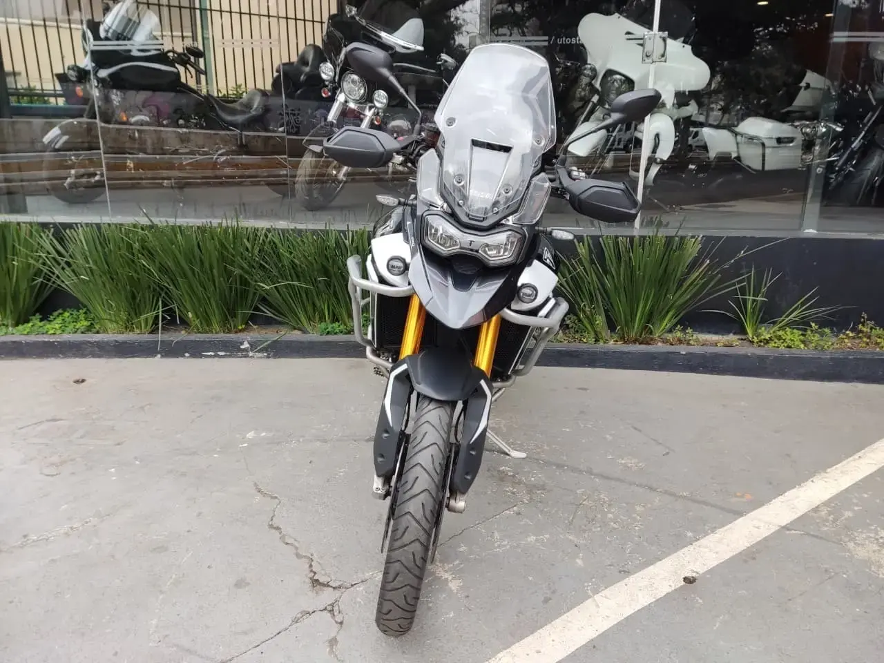 galeria Tiger 900