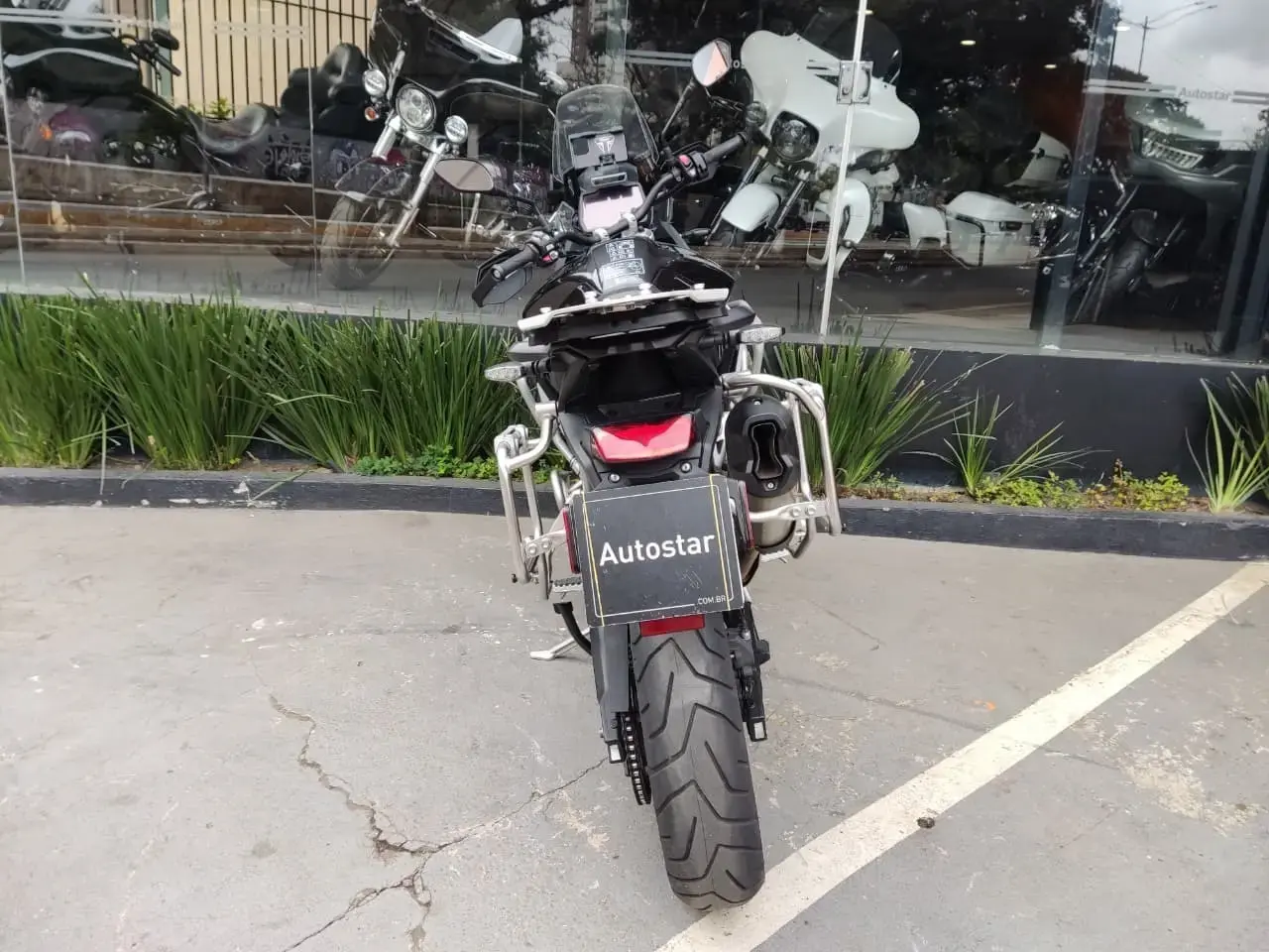 galeria Tiger 900