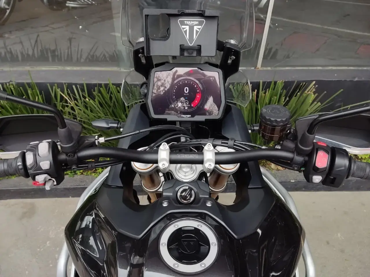 galeria Tiger 900