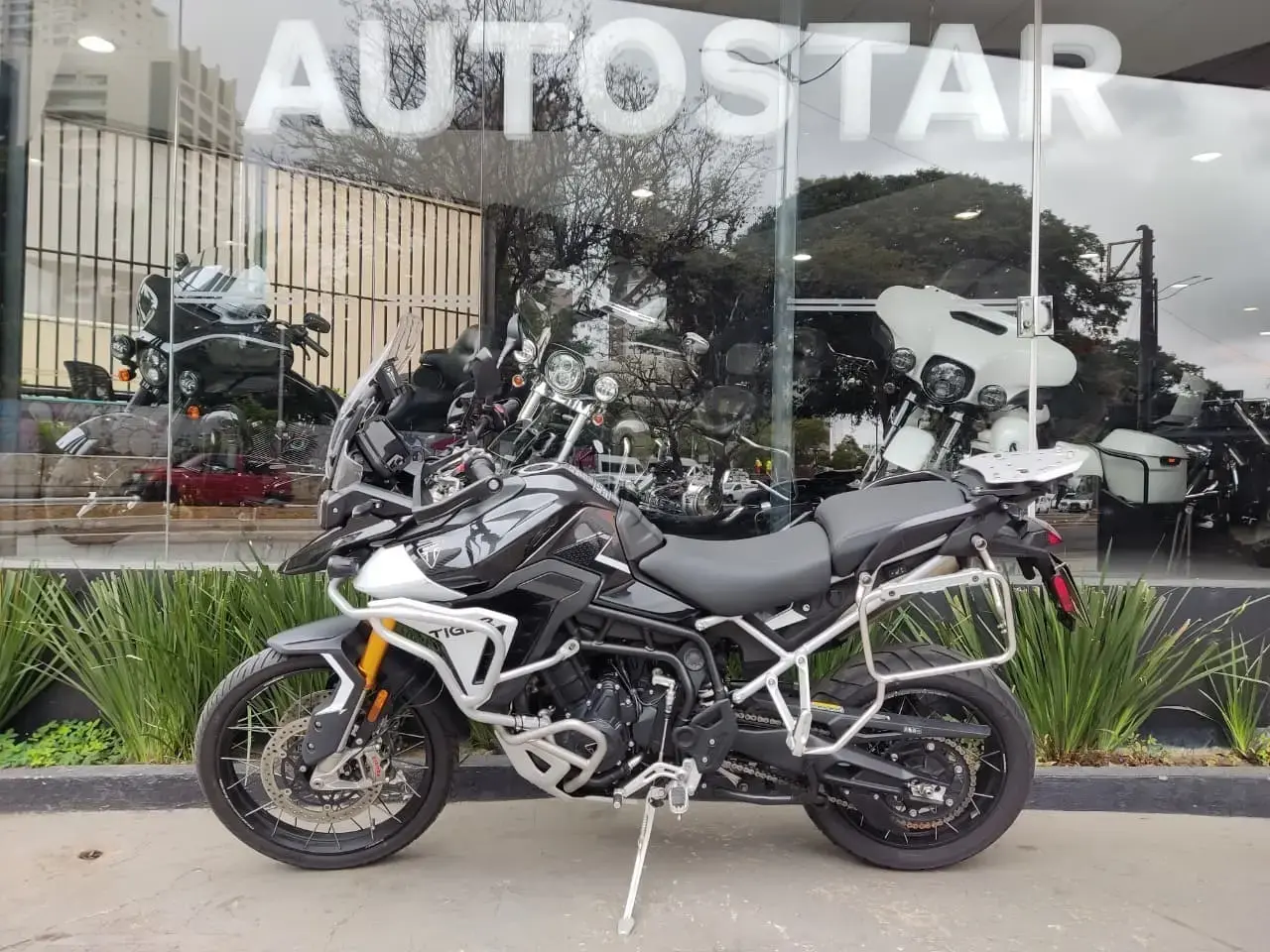 galeria Tiger 900