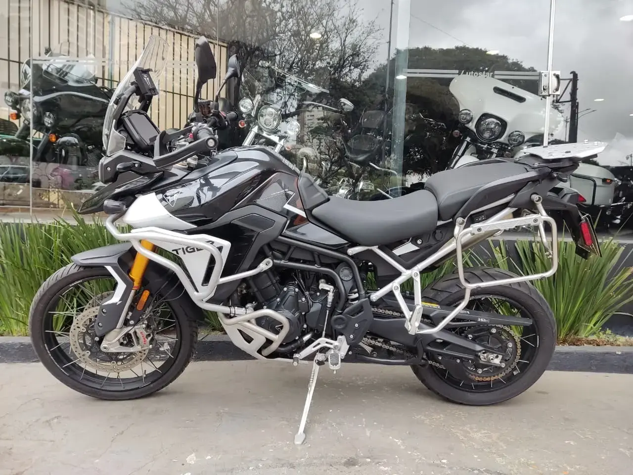 galeria Tiger 900