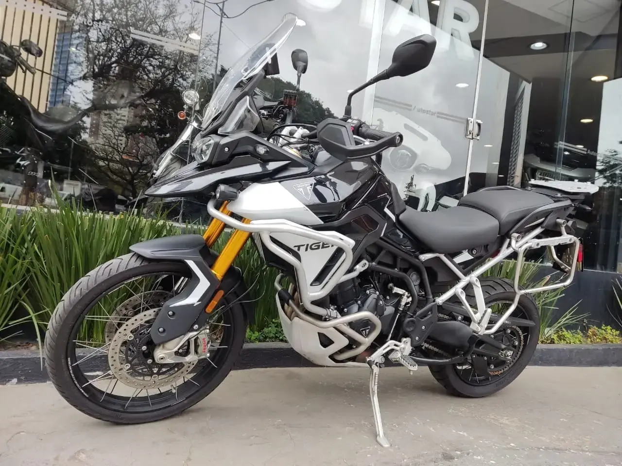 galeria Tiger 900