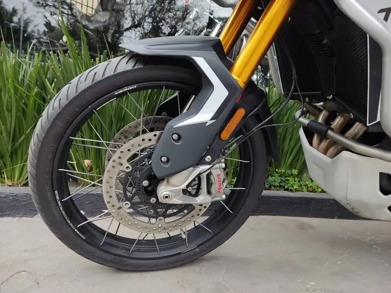 galeria Tiger 900