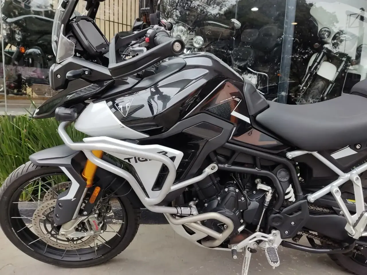 galeria Tiger 900