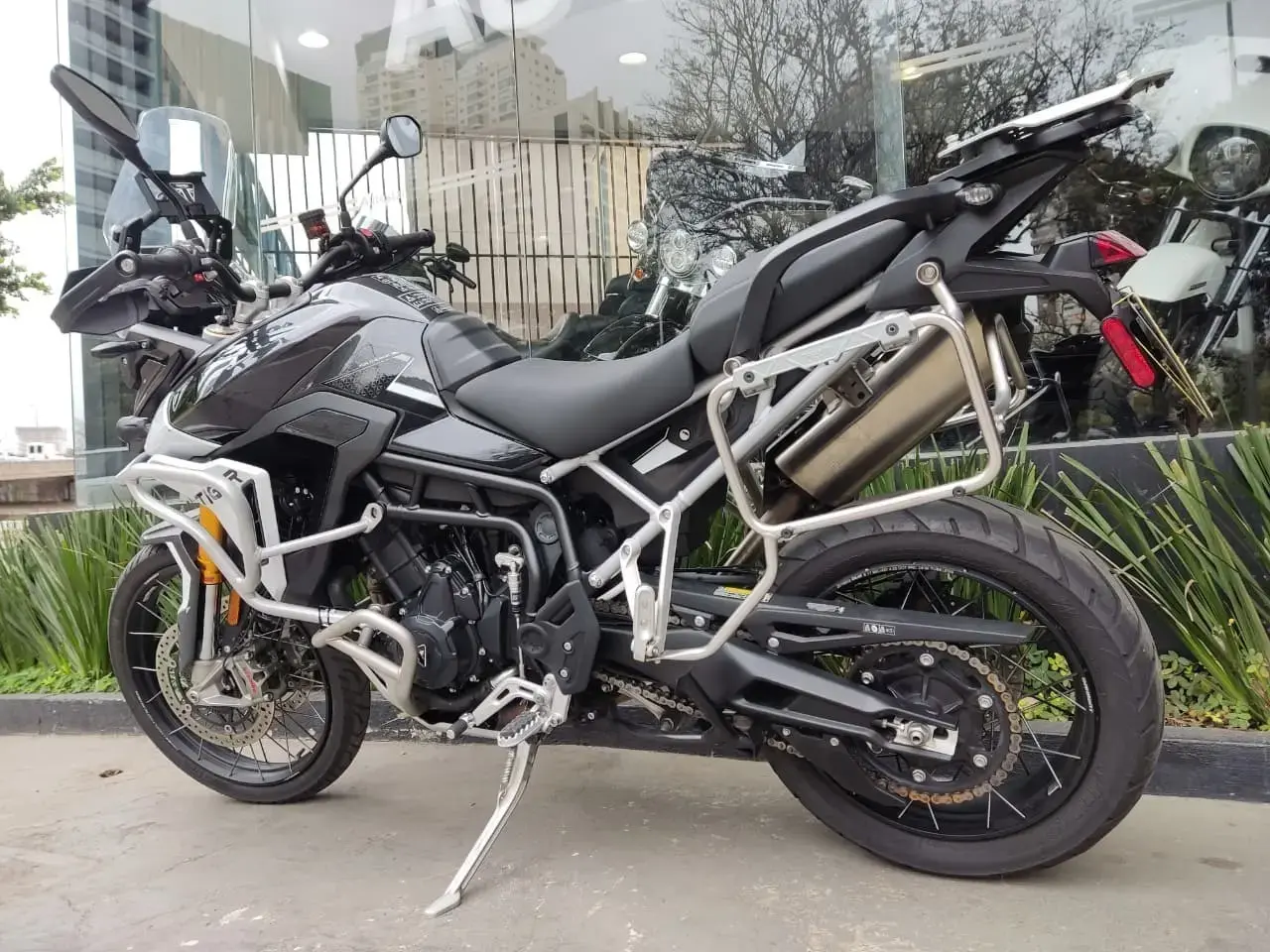 galeria Tiger 900