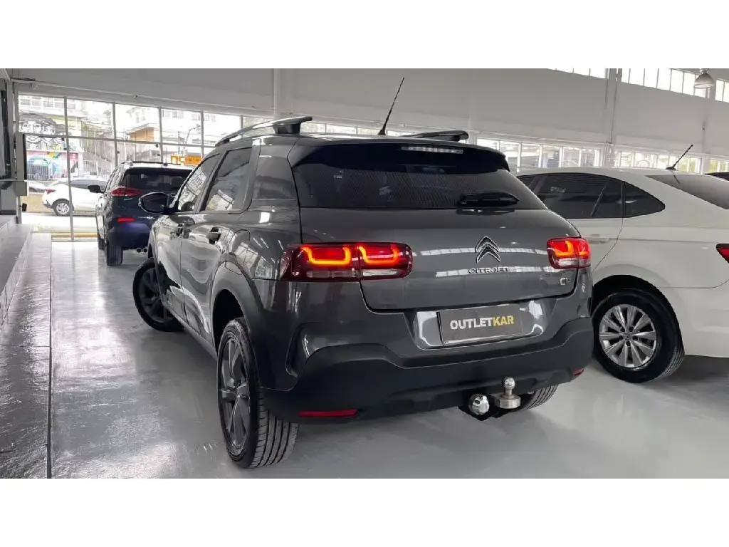 galeria C4 CACTUS
