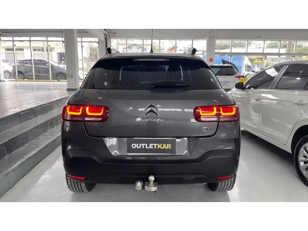 galeria C4 CACTUS