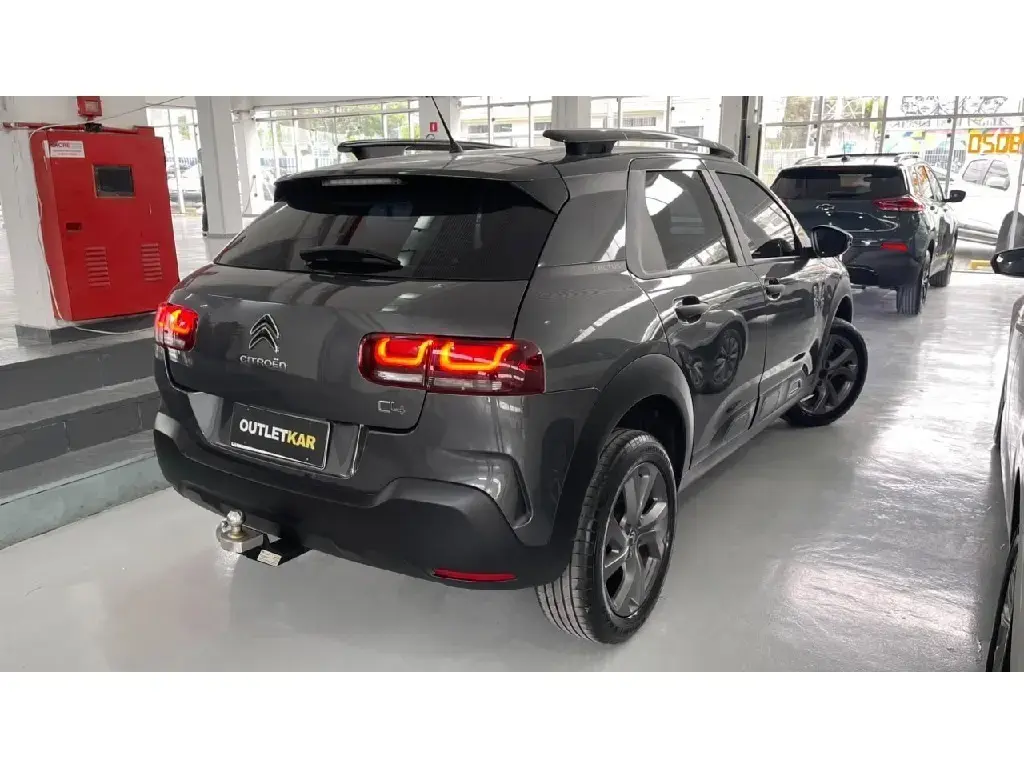 galeria C4 CACTUS