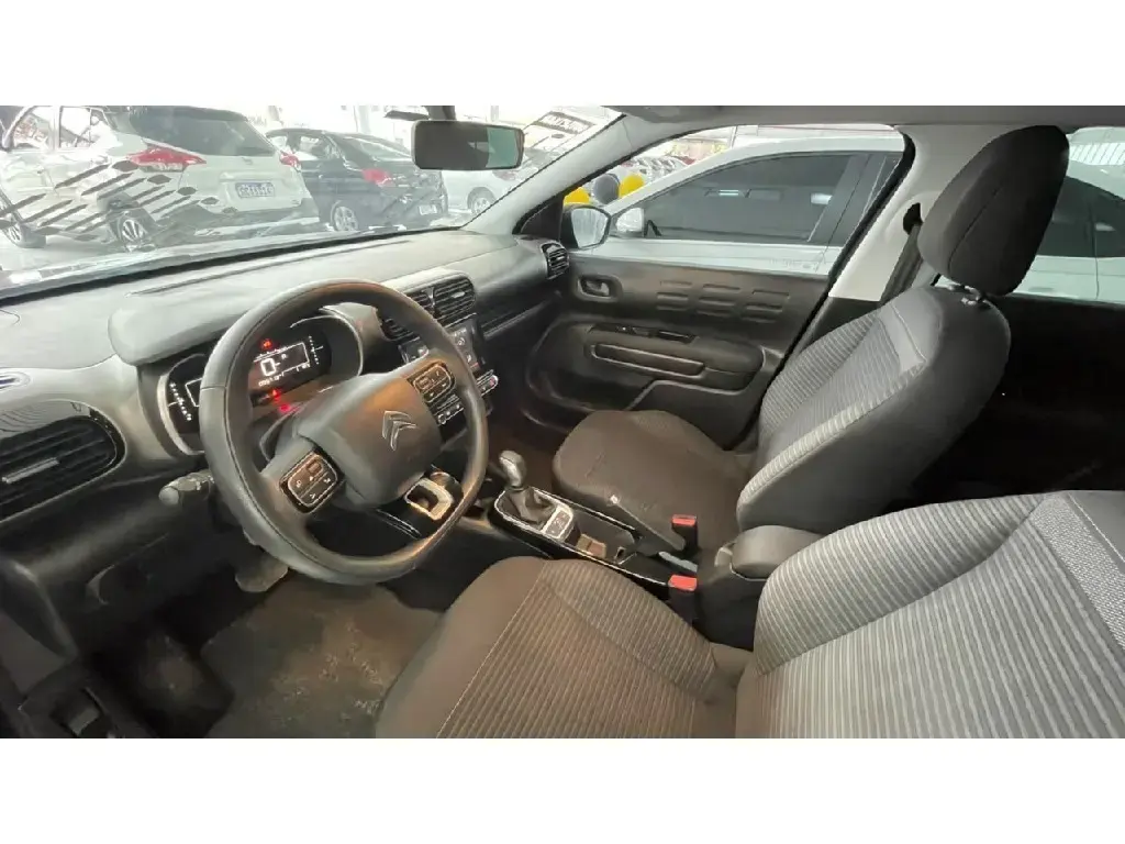galeria C4 CACTUS