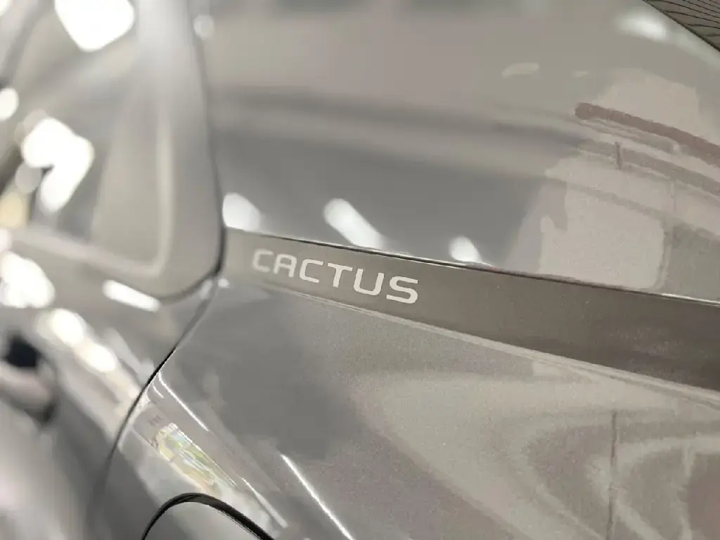 galeria C4 CACTUS