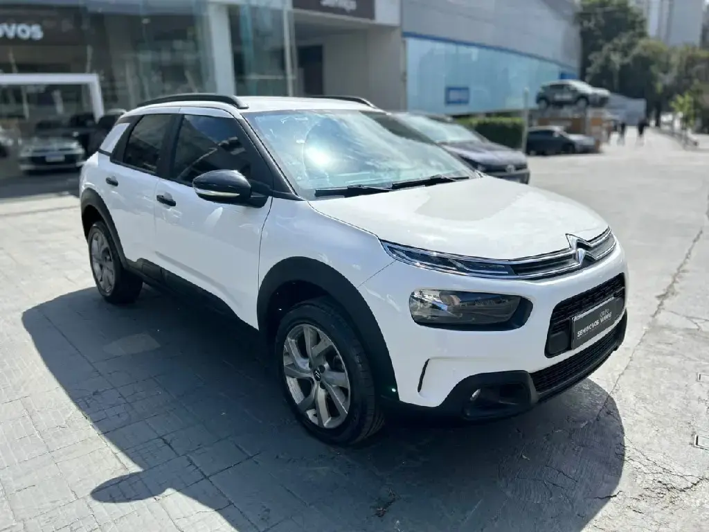 galeria C4 CACTUS
