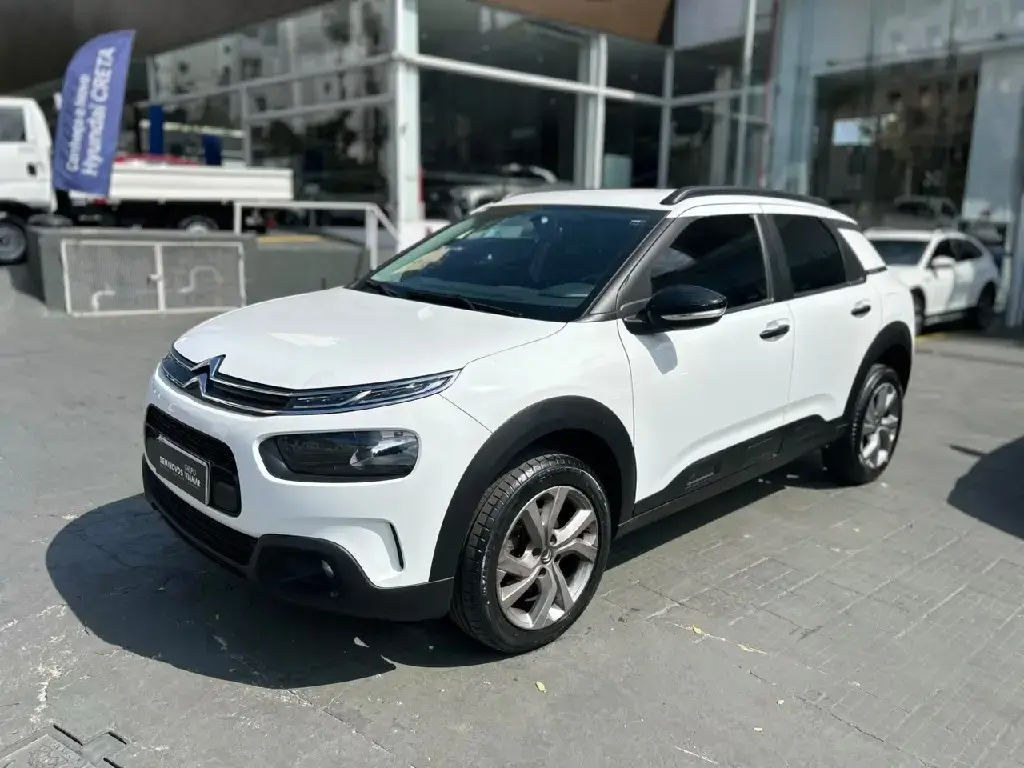 galeria C4 CACTUS